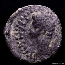 Monedas ibéricas: HISPANIA AUGUSTO Æ SEMIS - JULIA TRADUCTA - APEX SIMPULUM (5502). Lote 400929744