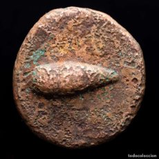 Monedas ibéricas: OSTUR (CARMONA, SEVILLA) AE SEMIS. 150-50 AC. BELLOTA / PALMAS.. Lote 402249259