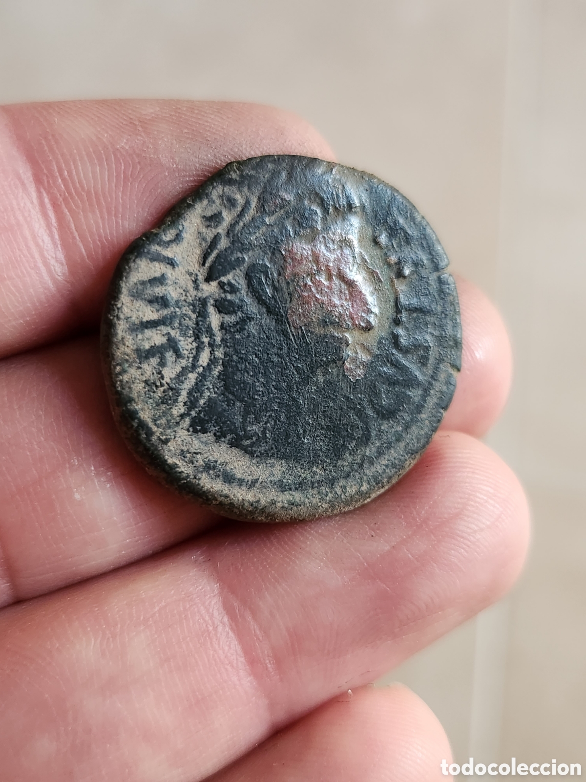 Monedas ib&eacute;ricas: Raro As de Bilbilis de la &eacute;poca de Augusto - Foto 2