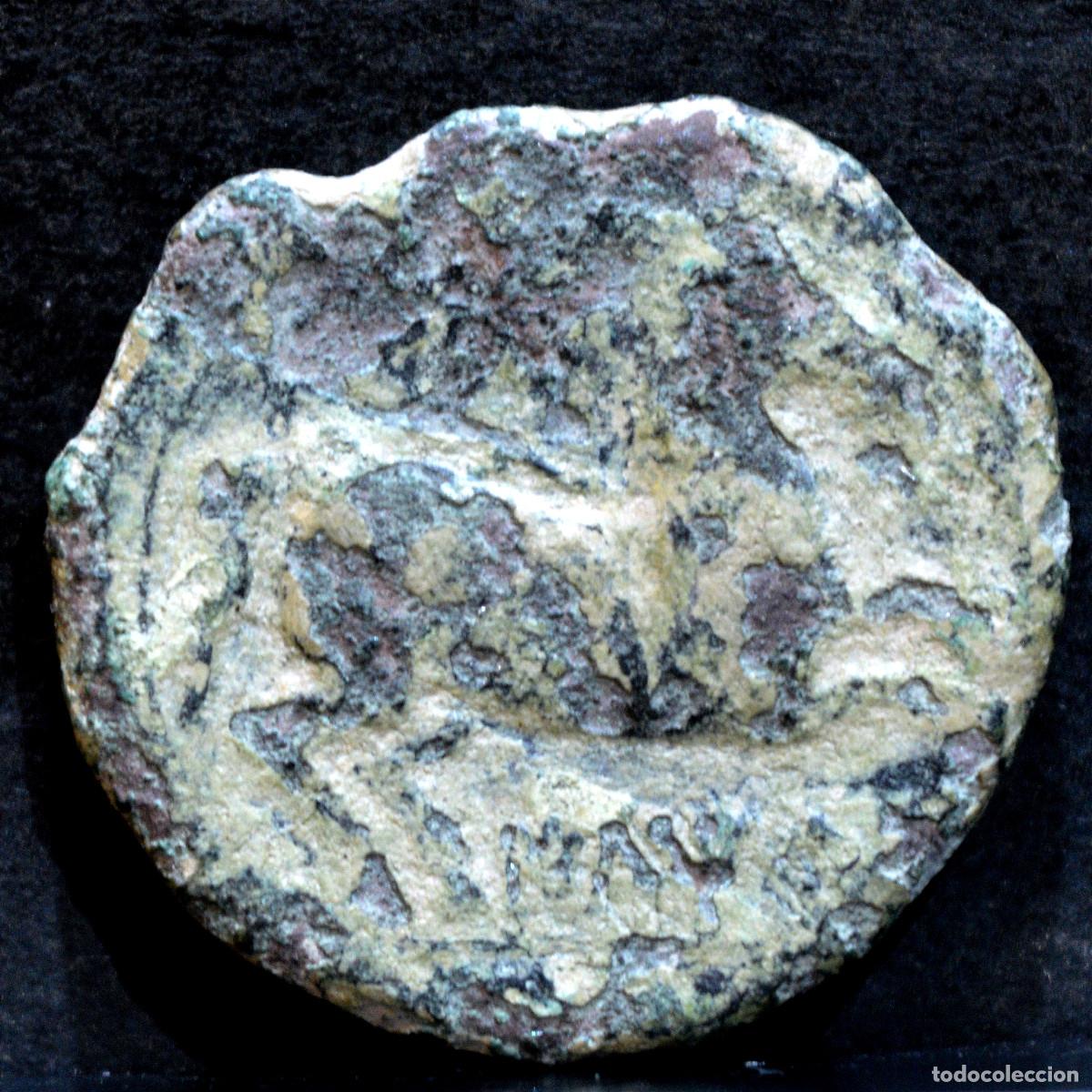 Monedas ib&eacute;ricas: SEMIS ILTIRTA - Foto 1