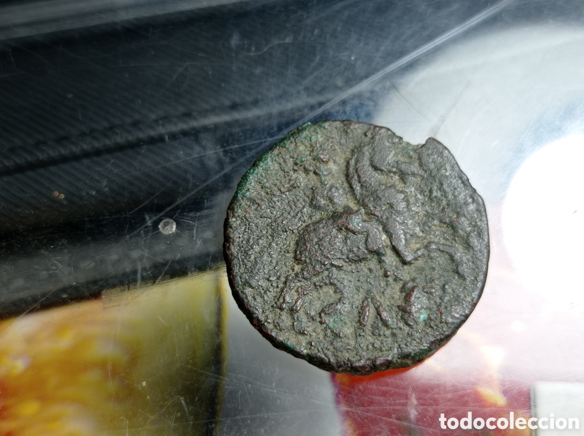 Monedas ib&eacute;ricas: Moneda as,de celse , velilla de Ebro, - Foto 3