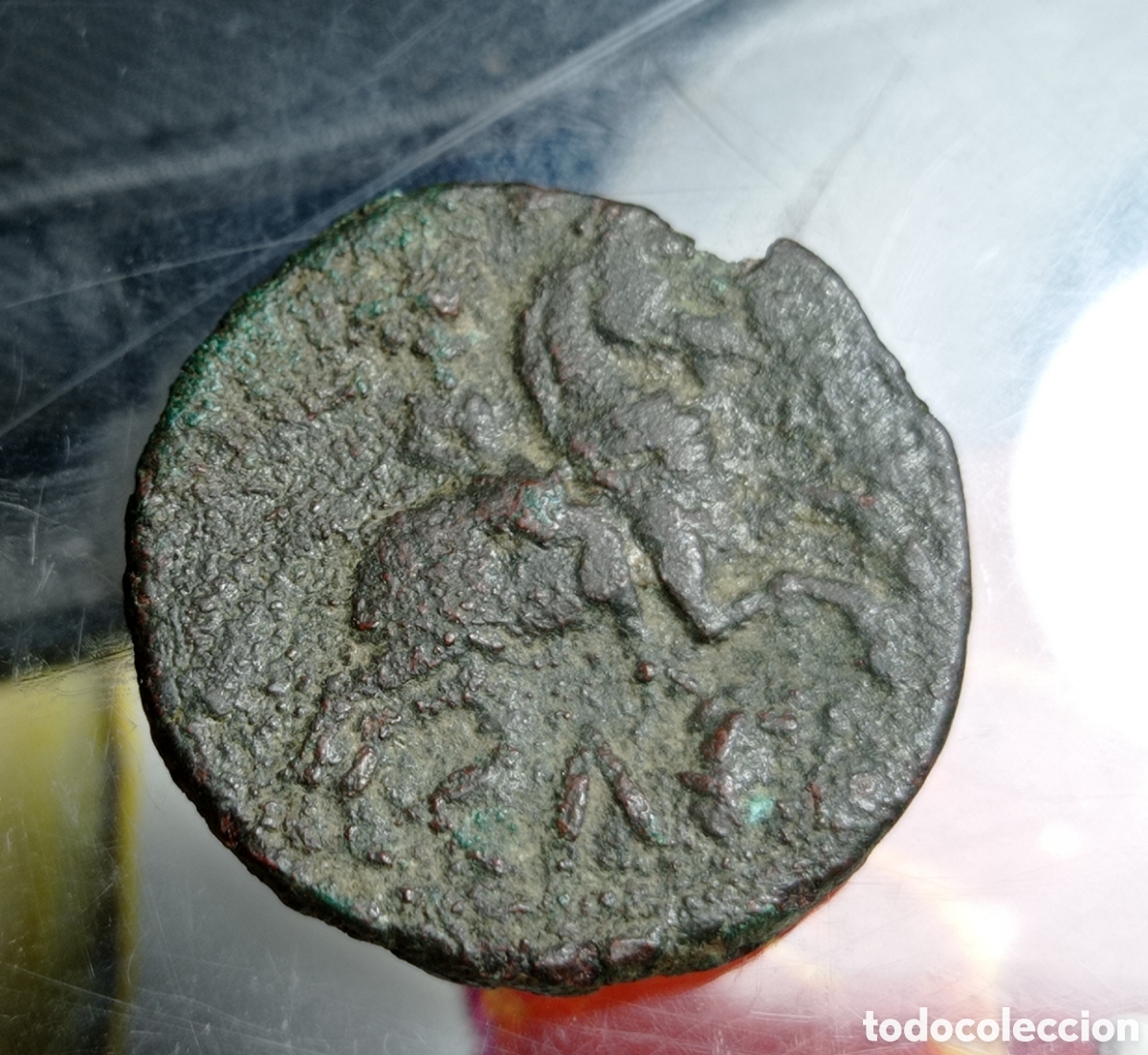Monedas ib&eacute;ricas: Moneda as,de celse , velilla de Ebro, - Foto 1