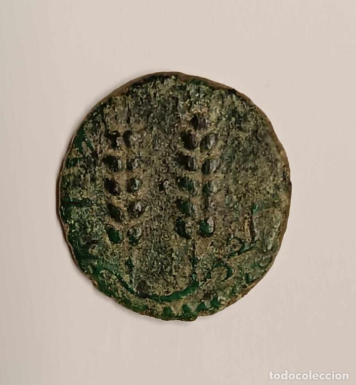 Monedas ib&eacute;ricas: Semis de Tingis (T&aacute;nger). 16 mm / 2,8 gr. - Foto 4