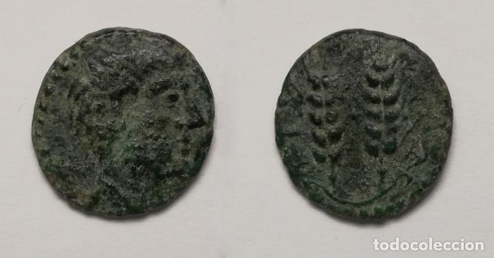 Monedas ib&eacute;ricas: Semis de Tingis (T&aacute;nger). 16 mm / 2,8 gr. - Foto 5