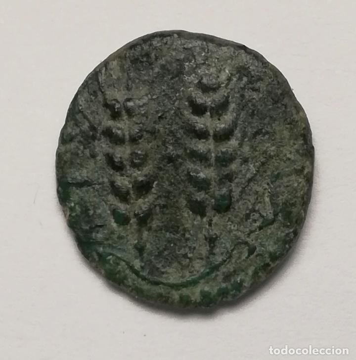 Monedas ib&eacute;ricas: Semis de Tingis (T&aacute;nger). 16 mm / 2,8 gr. - Foto 1