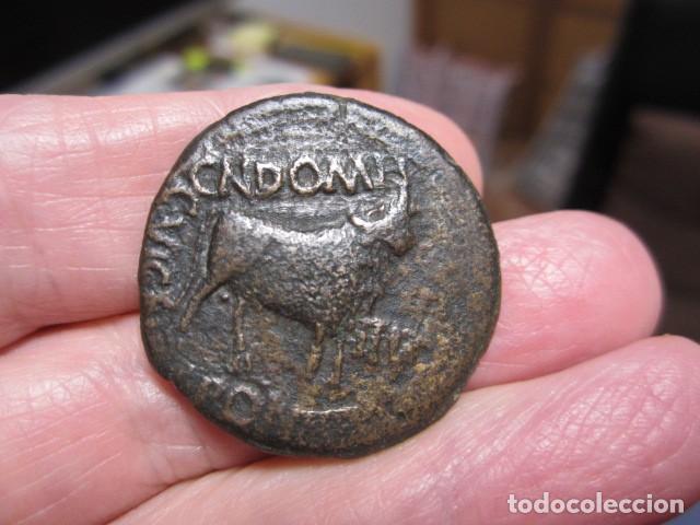 Monedas ib&eacute;ricas: MONEDA DE 1 AS DE CELSA AVGVSTA (-27 A 14) - Foto 2