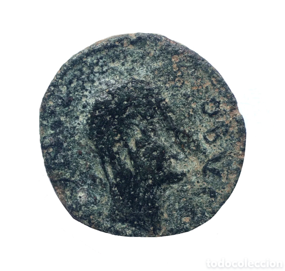 Monedas ib&eacute;ricas: SEMIS OBULCO APOLO 80 A.C. - Foto 2