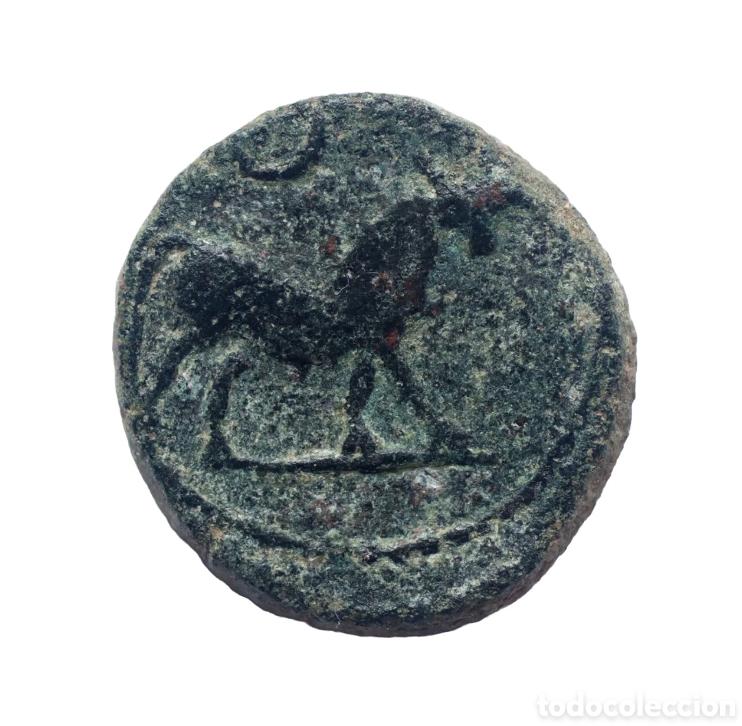 Monedas ib&eacute;ricas: SEMIS OBULCO APOLO 80 A.C. - Foto 1