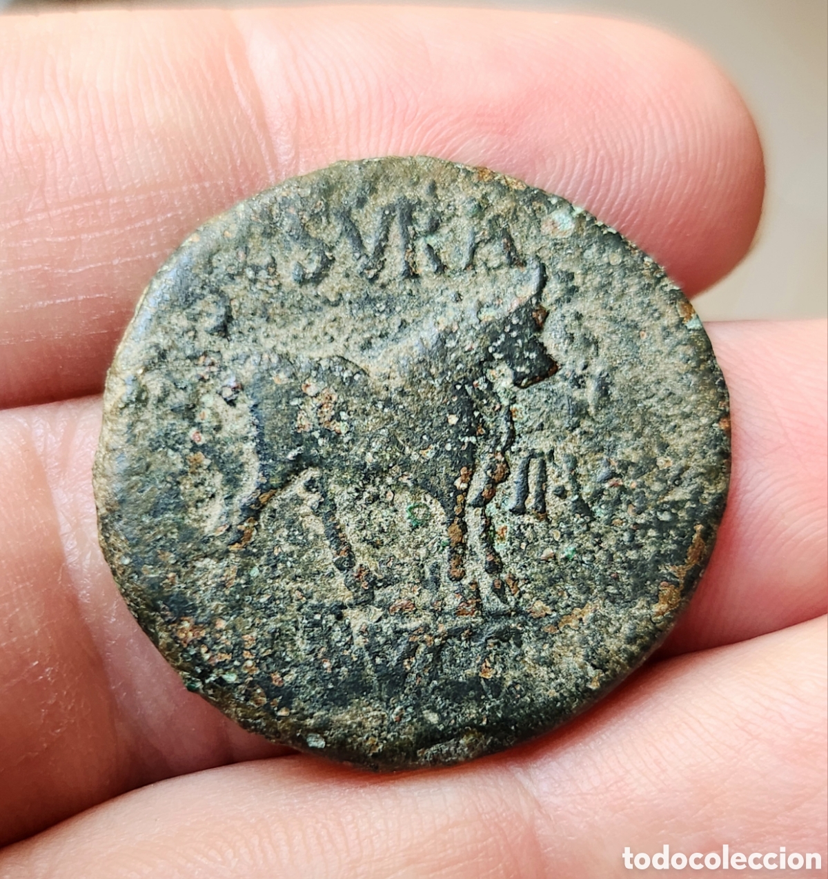 Monedas ib&eacute;ricas: As Celsa Augusto Velilla del Ebro (Zaragoza) - Foto 3
