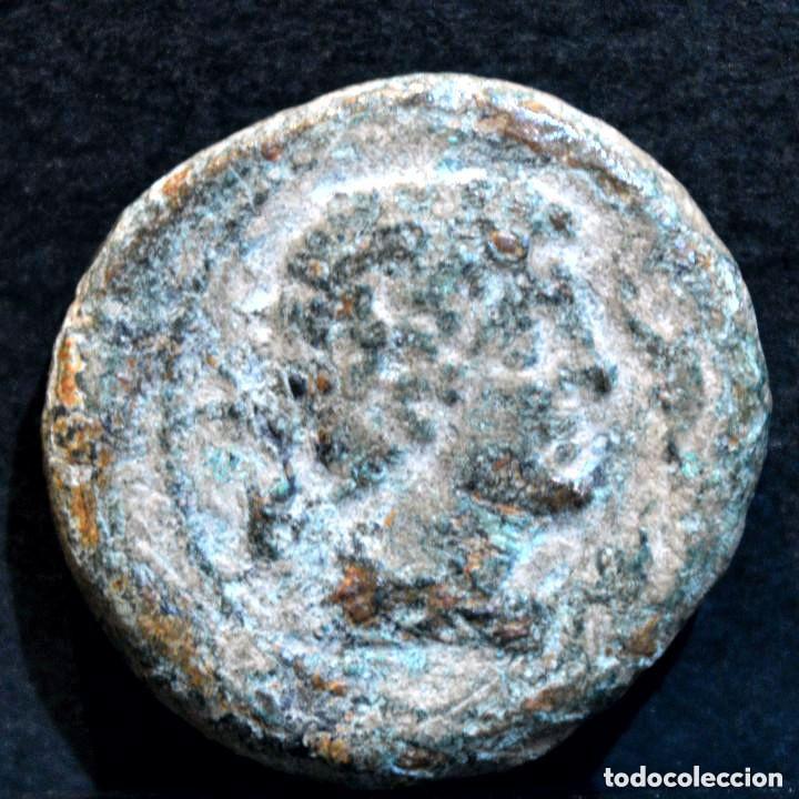 Monedas ib&eacute;ricas: SEMIS ILTIRTA LLEIDA - Foto 2