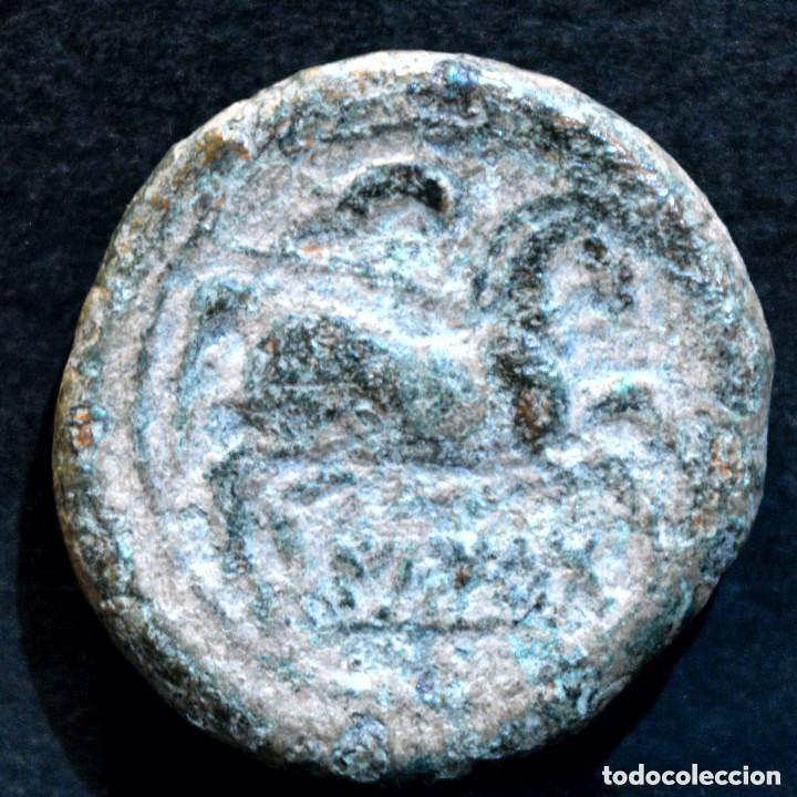 Monedas ib&eacute;ricas: SEMIS ILTIRTA LLEIDA - Foto 1