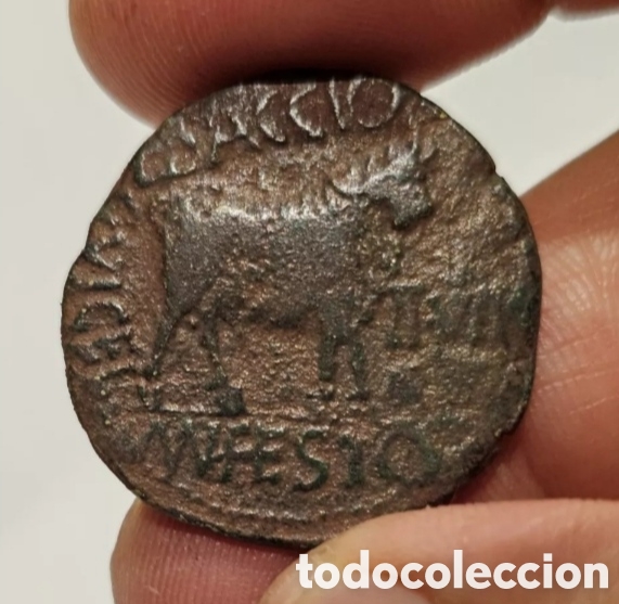 Monedas ib&eacute;ricas: As de Celsa(Velilla del Ebro) Augusto - Foto 1