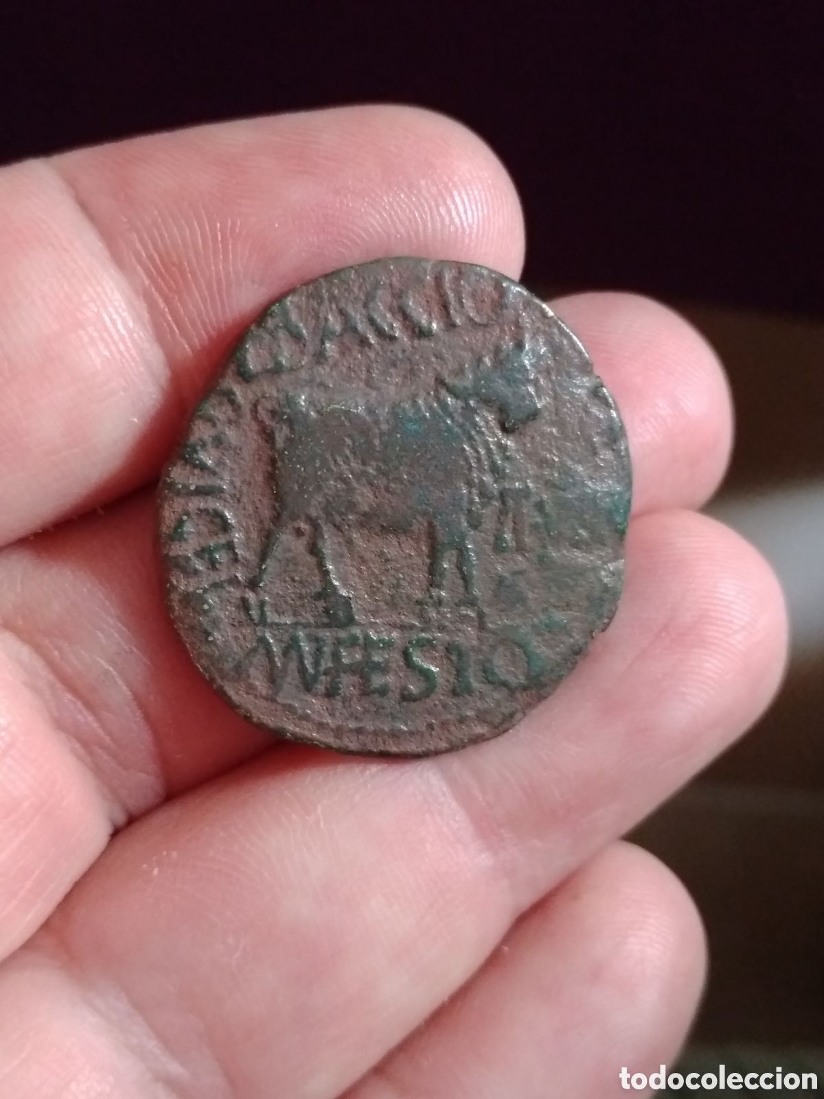 Monedas ib&eacute;ricas: As de Celsa(Velilla del Ebro) Augusto - Foto 3