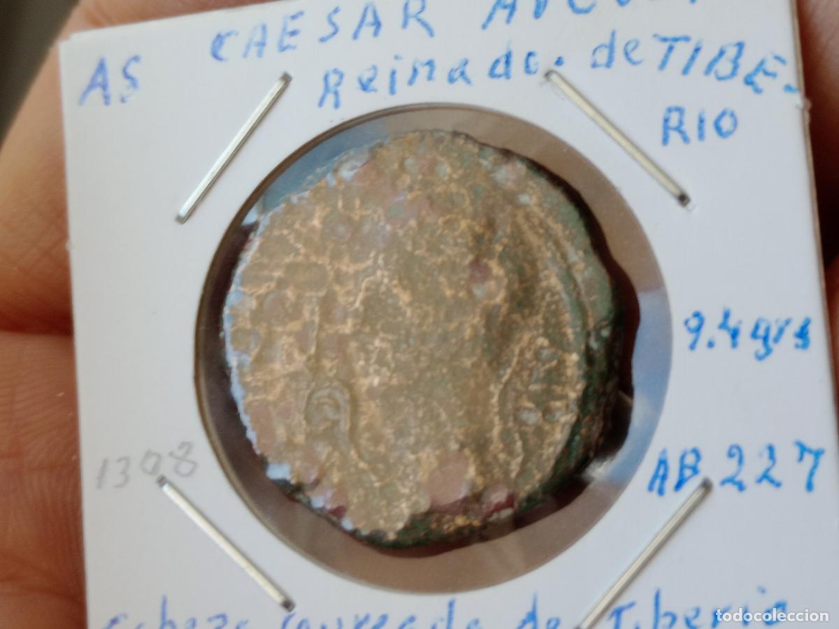 Monedas ib&eacute;ricas: As Hispano romano. Zaragoza. Caesar Augusta - Foto 2