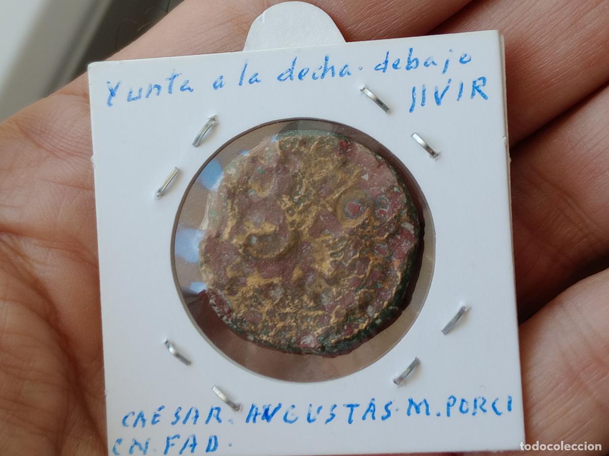 Monedas ib&eacute;ricas: As Hispano romano. Zaragoza. Caesar Augusta - Foto 3