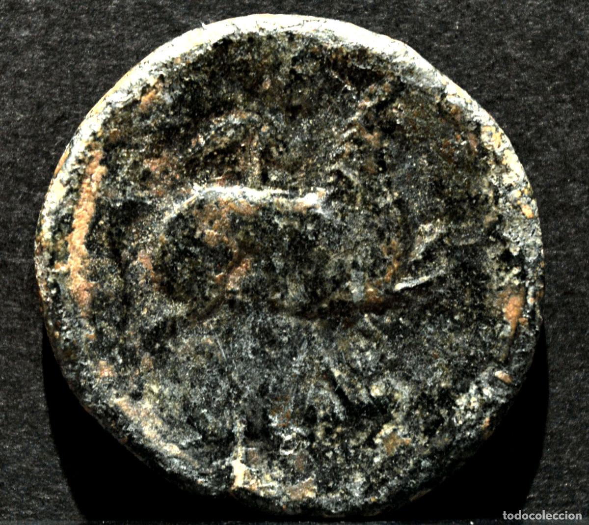 Monedas ib&eacute;ricas: AS ILTIRTA LLEIDA LERIDA - Foto 2
