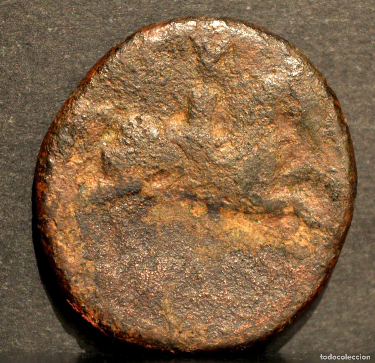 Monedas ib&eacute;ricas: AS DE ILTIRTA LERIDA LLEIDA - Foto 2