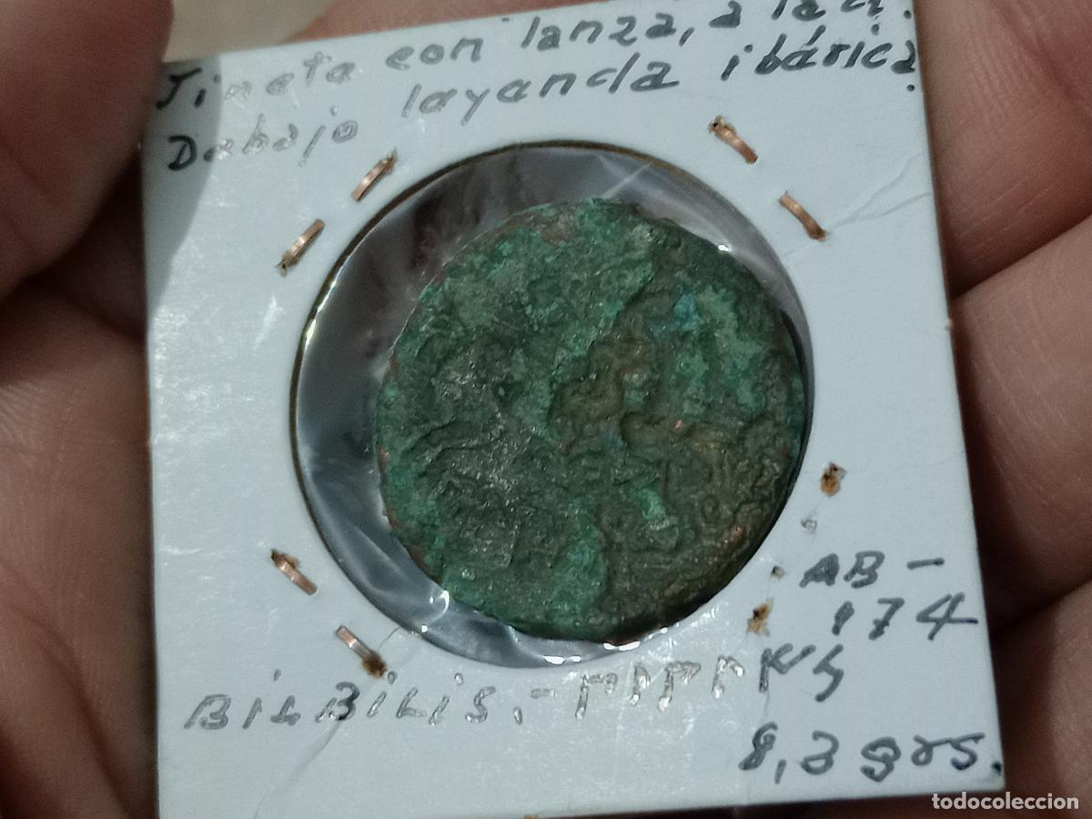 Monedas ib&eacute;ricas: As ib&eacute;rico de Bilbilis, Calatayud - Foto 5