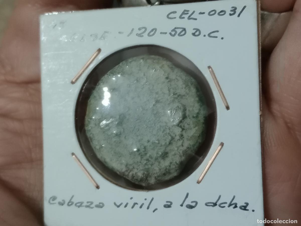 Monedas ib&eacute;ricas: AS CELSE ZARAGOZA ZONA VELILLA DE EBRO - Foto 2