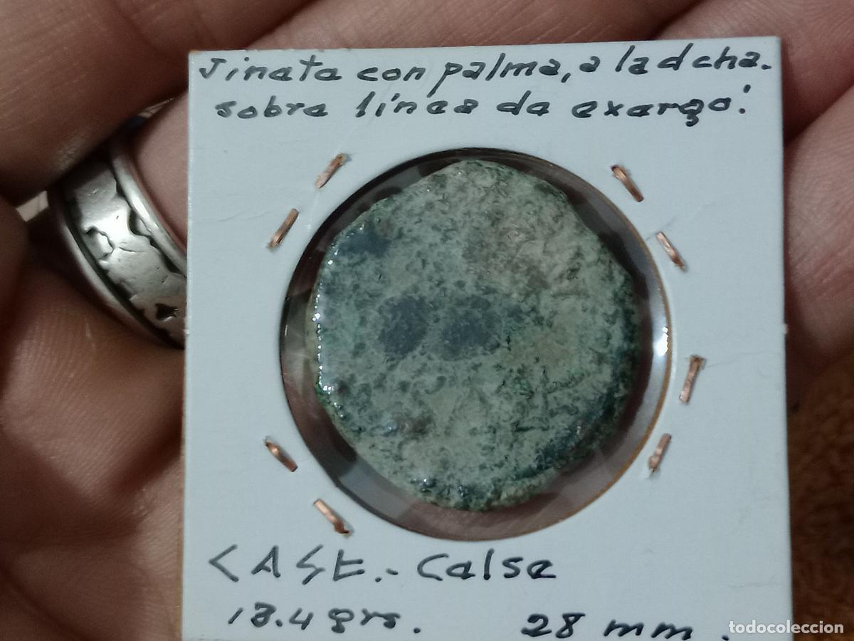 Monedas ib&eacute;ricas: AS CELSE ZARAGOZA ZONA VELILLA DE EBRO - Foto 1