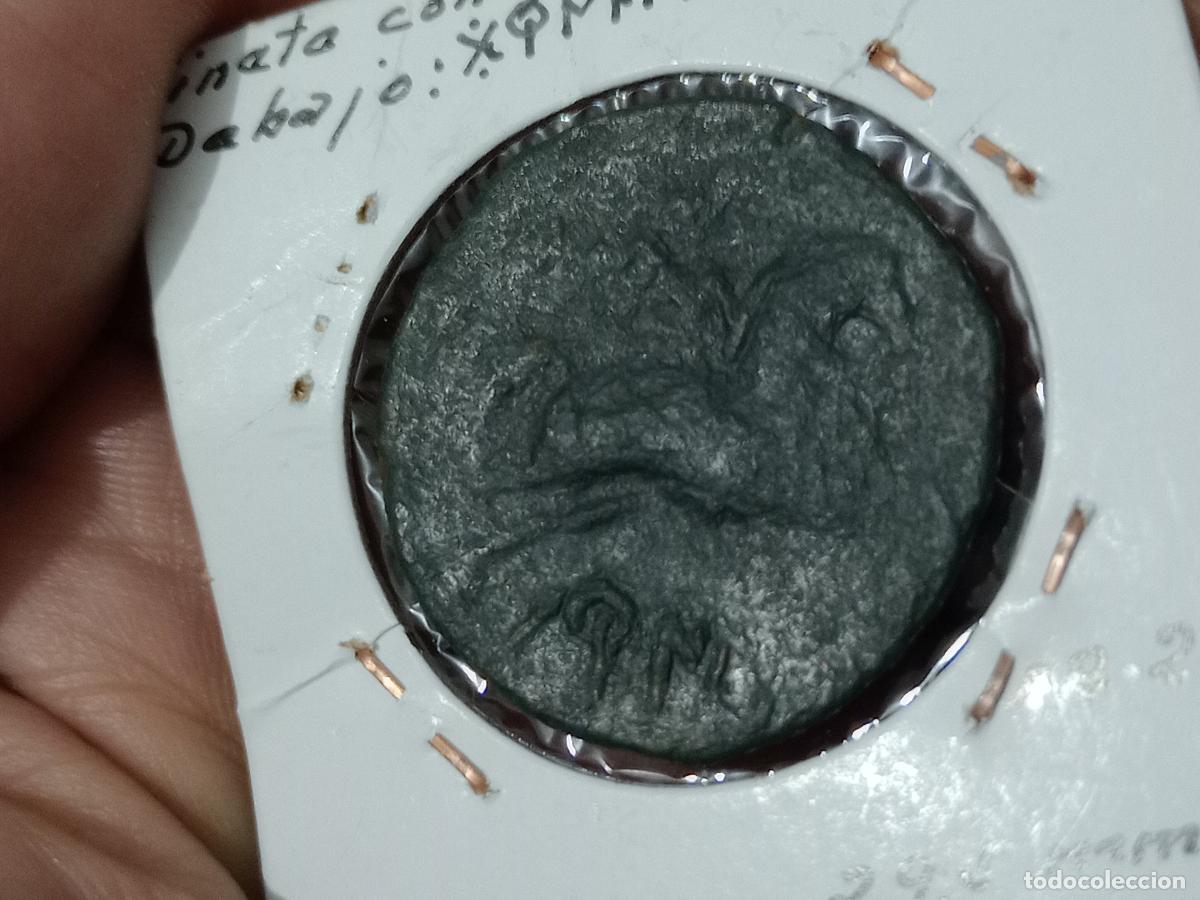 Monedas ib&eacute;ricas: EXCELENTE AS DE BORNESCON, BORNESKON, ARAGON - Foto 5