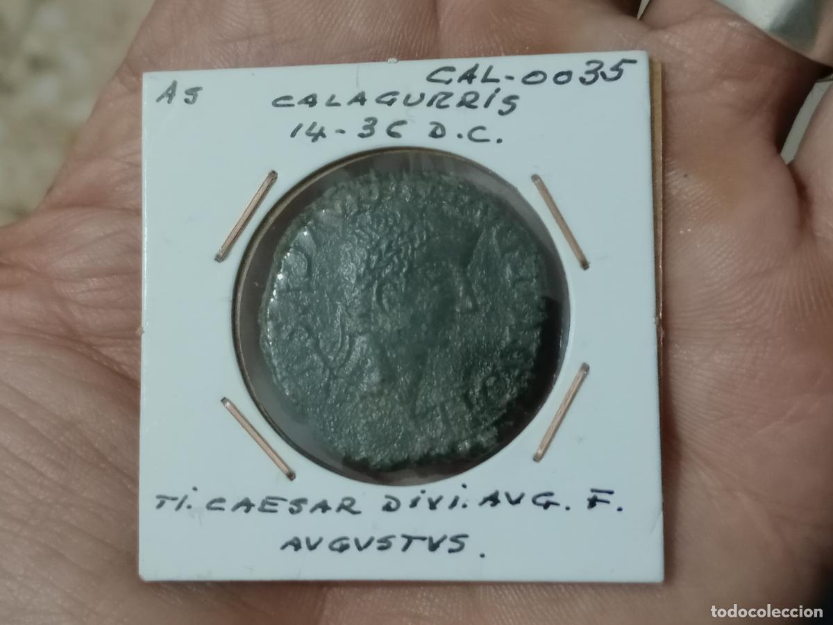 Monedas ib&eacute;ricas: EXCELENTE AS DE CALAGURRIS, CALAHORRA - Foto 2