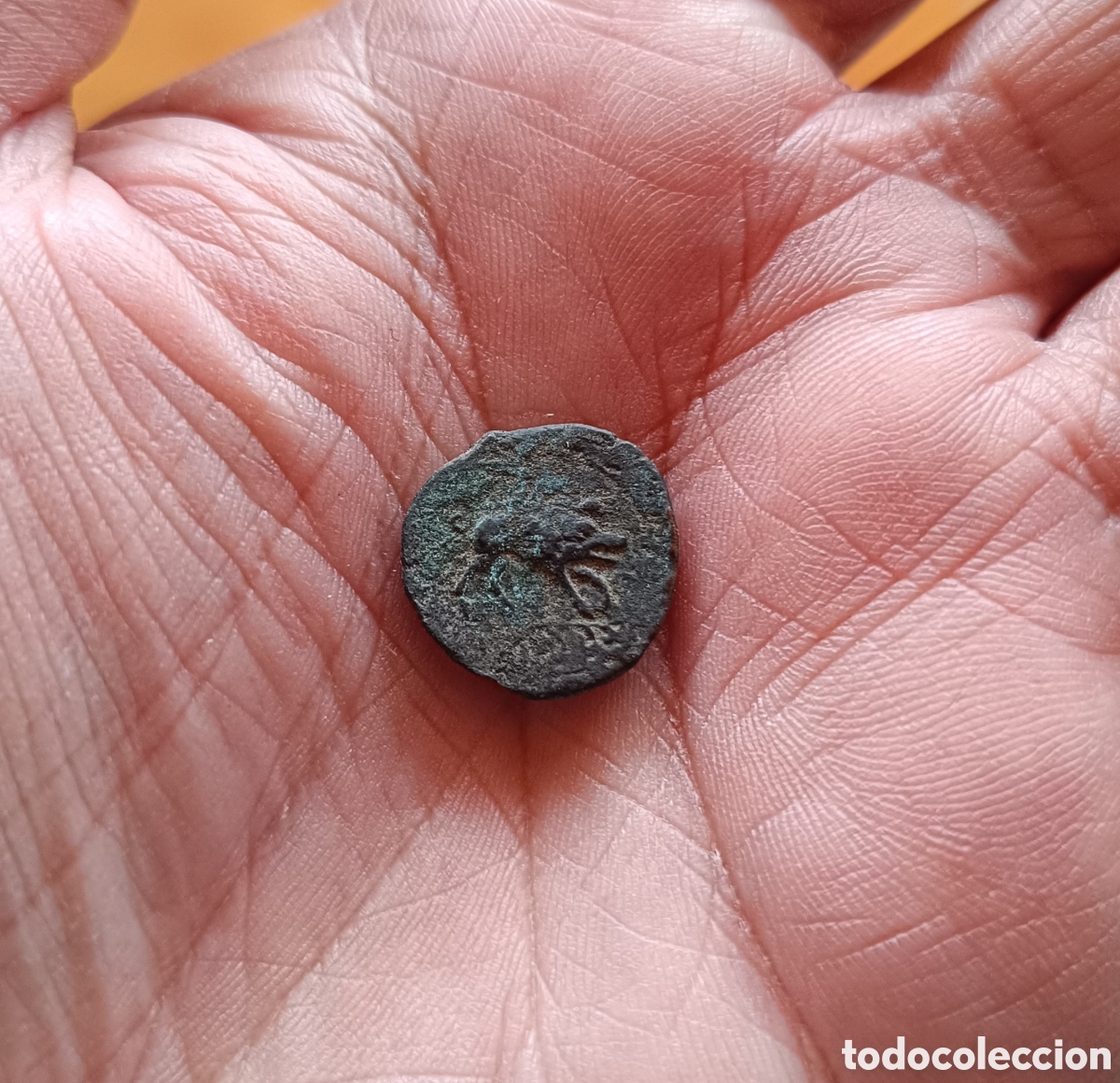 Monedas ib&eacute;ricas: Moneda cuadrante Castulo. Jabal&iacute; - Foto 4