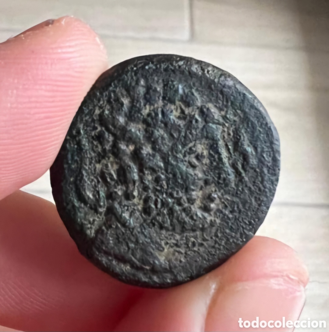 Monedas ib&eacute;ricas: Aut&eacute;ntico As ib&eacute;rico de Arsaos - Foto 2