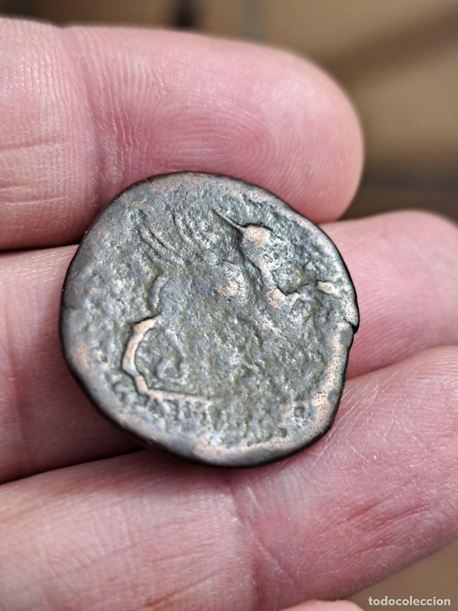 Monedas ib&eacute;ricas: NT/ AS IBERICO DE CASTULO 9,62 GRS (A008) - Foto 2