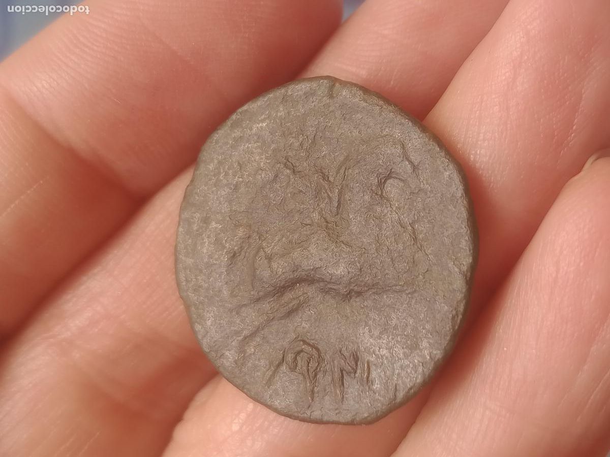 Monedas ib&eacute;ricas: EXCELENTE AS DE BORNESCON, BORNESKON, ARAGON - Foto 6