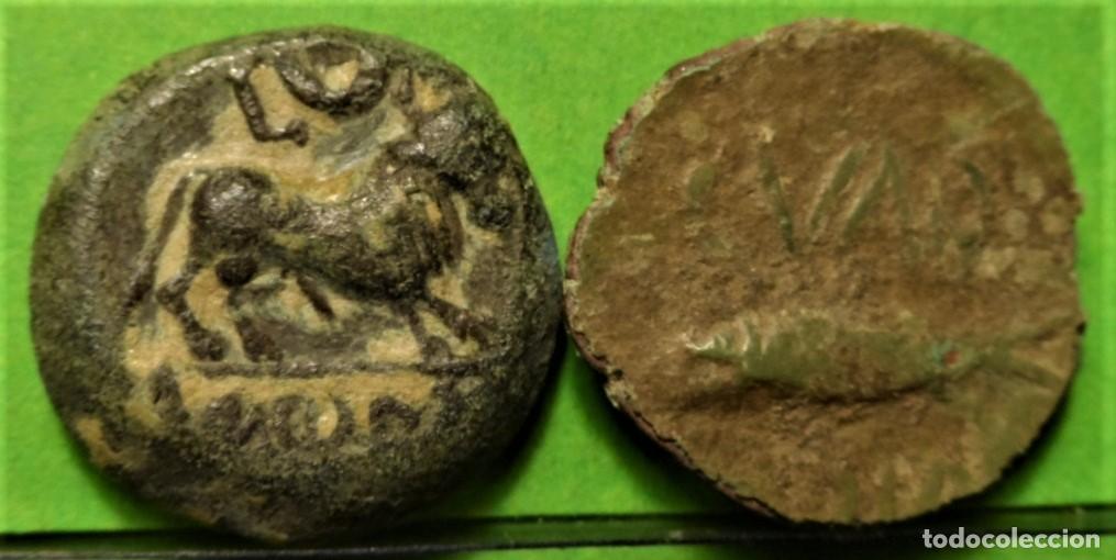 Monedas ib&eacute;ricas: CASTULO Y CUNBARIA, Semis, Ae, LOTE de 2 monedas. - Foto 2