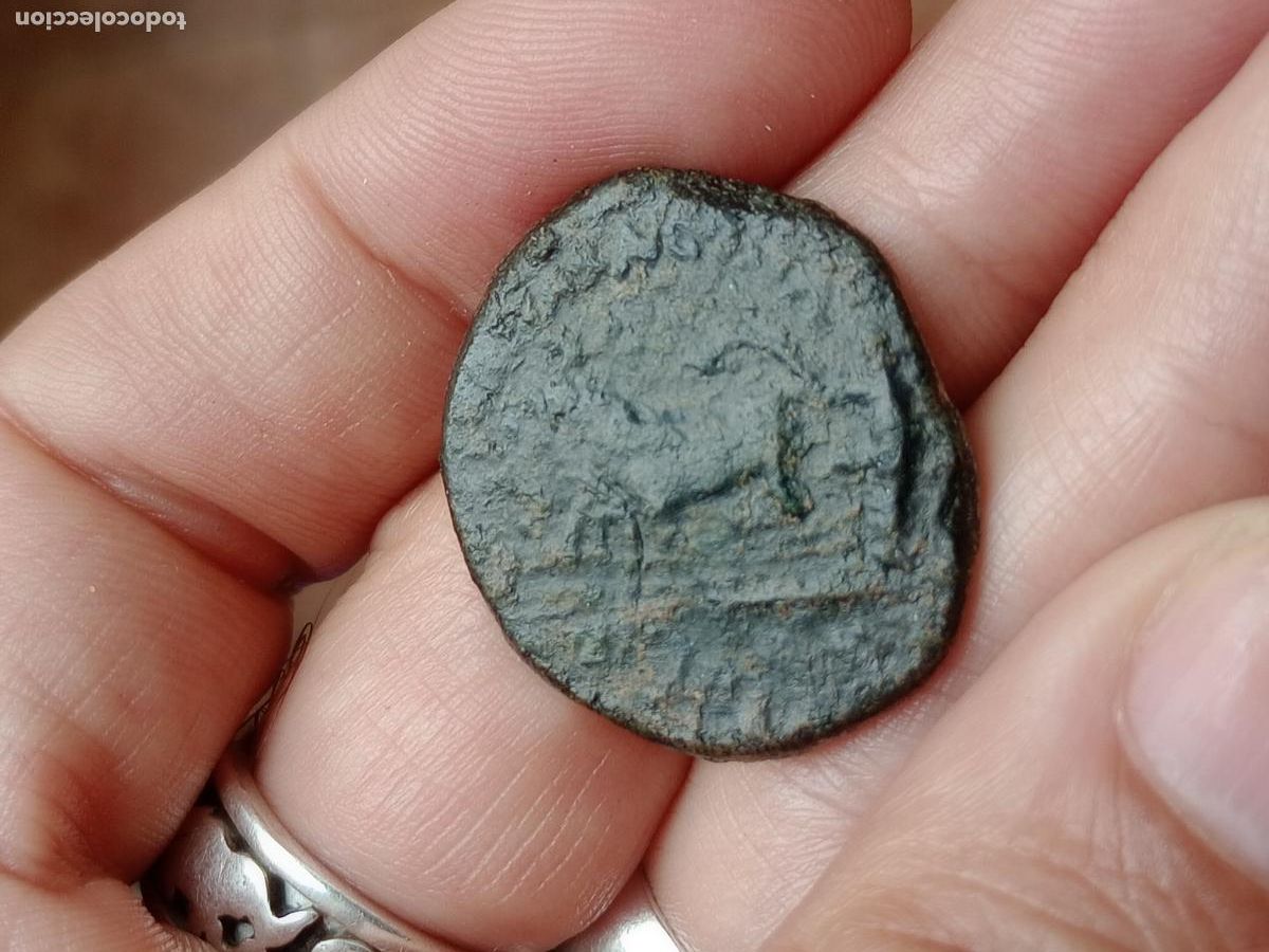 Monedas ib&eacute;ricas: AS DE CAESAR AUGUSTA, ZARAGOZA - Foto 2