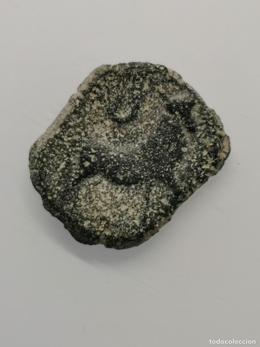 Monedas ib&eacute;ricas: C&Aacute;STULO - HISPANIA - SEMIS - HACIA (180-150 a.C.) - Foto 3
