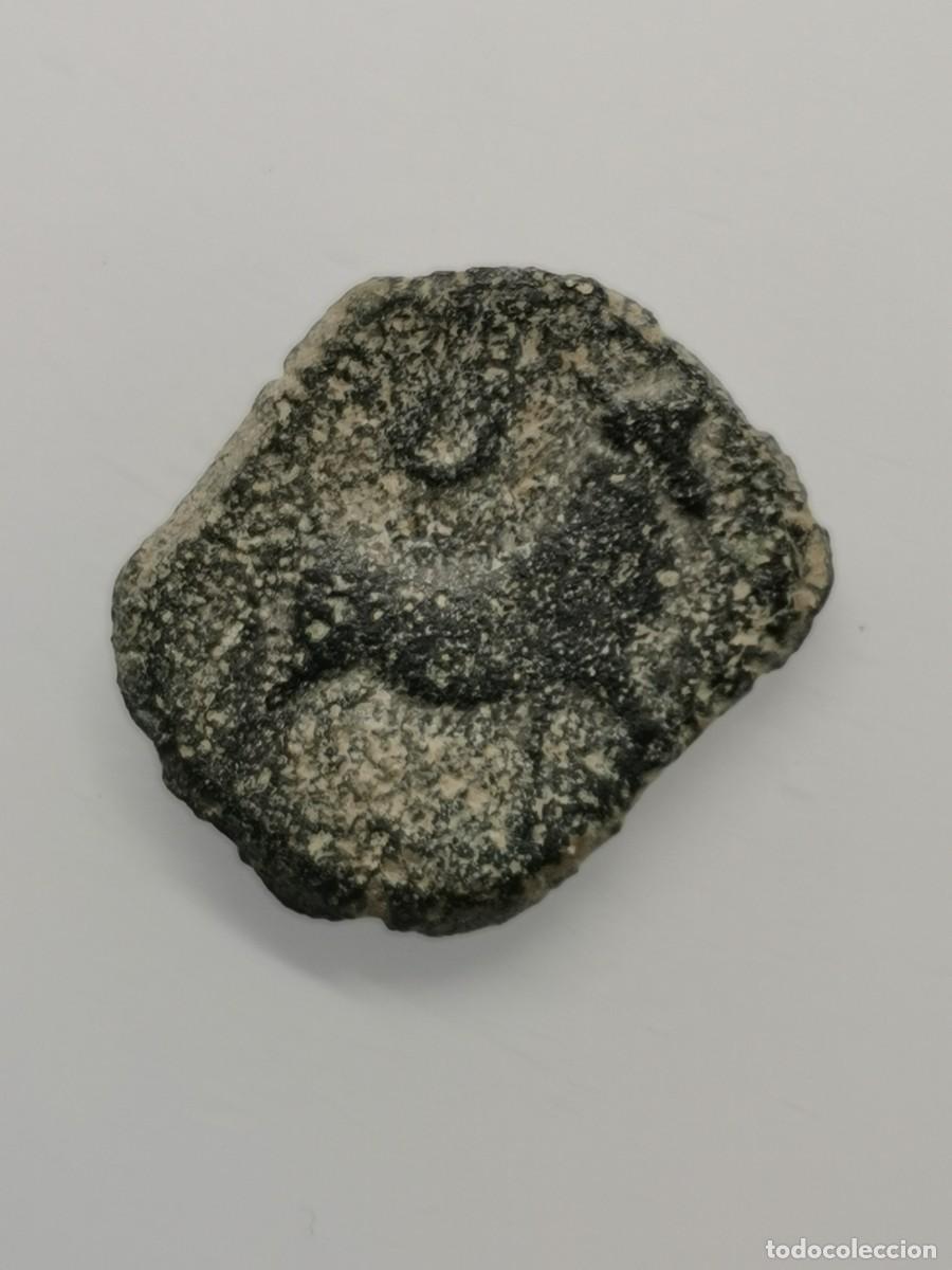 Monedas ib&eacute;ricas: C&Aacute;STULO - HISPANIA - SEMIS - HACIA (180-150 a.C.) - Foto 5