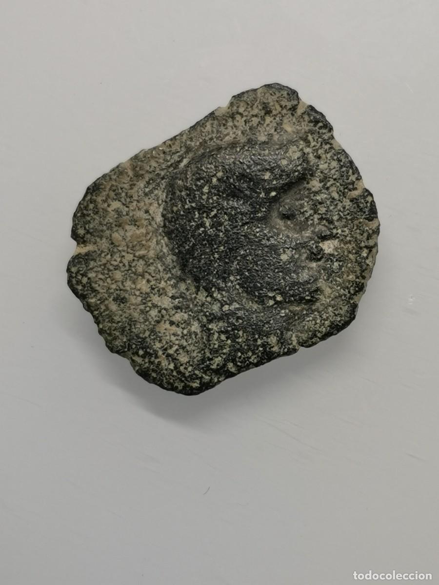 Monedas ib&eacute;ricas: C&Aacute;STULO - HISPANIA - SEMIS - HACIA (180-150 a.C.) - Foto 6