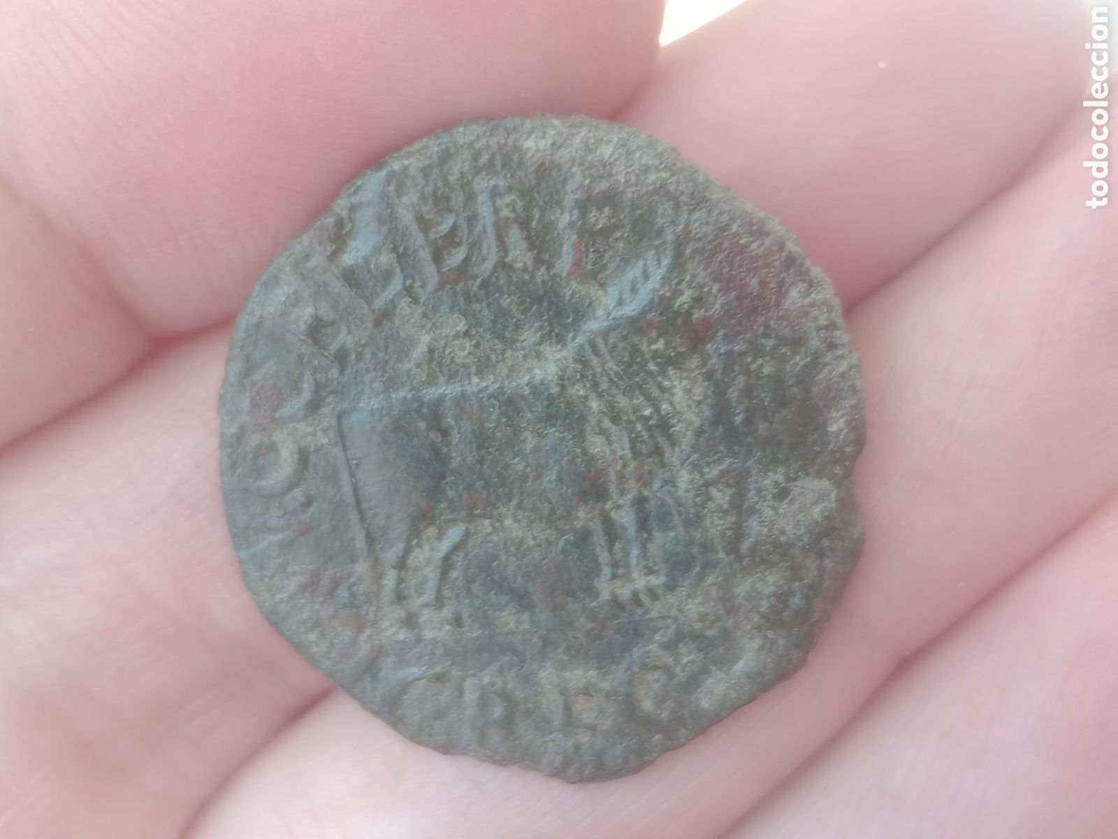 Monedas ib&eacute;ricas: EXCELENTE AS DE CALAGURRIS, CALAHORRA - Foto 6