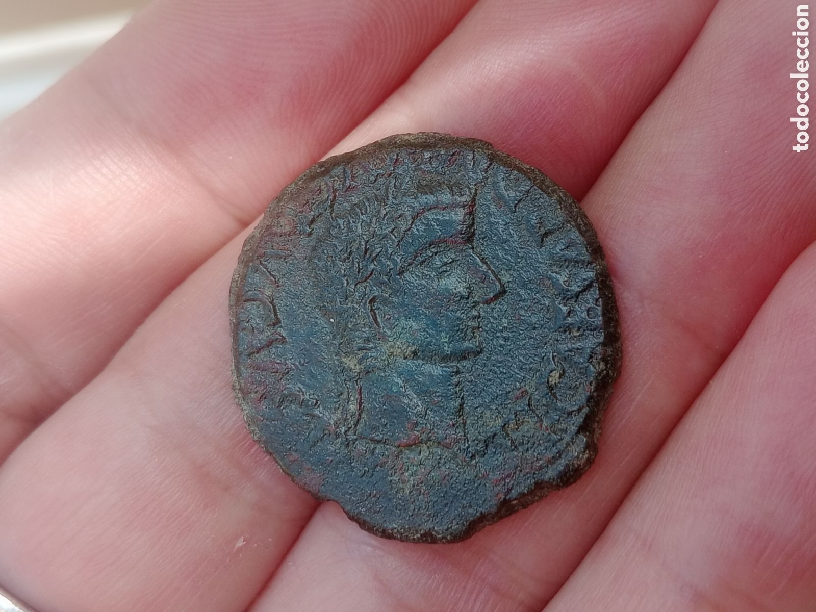 Monedas ib&eacute;ricas: EXCELENTE AS DE CALAGURRIS, CALAHORRA - Foto 1
