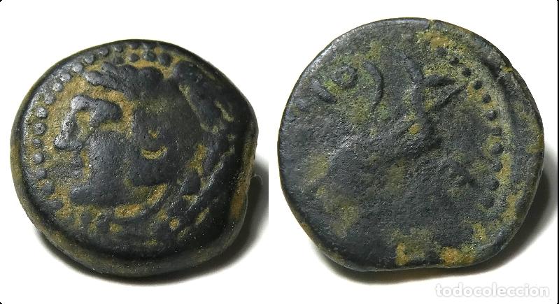 Monedas ib&eacute;ricas: Moneda de semis de Gades (Cadiz) - Foto 1