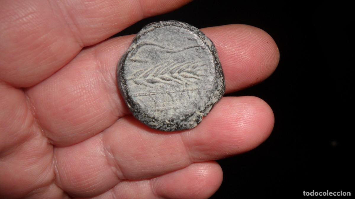 Monedas ib&eacute;ricas: RARO AS DE ABRA.EBC.MUY BONITO - Foto 2