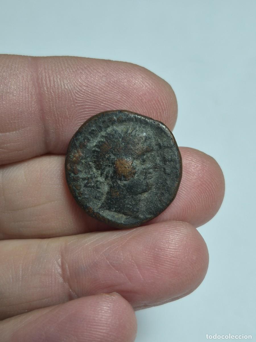Monedas ib&eacute;ricas: NT/ SEMIS IBERICO DE CASTULO BUEN MODULO 10,1 GRS (A759) - Foto 1