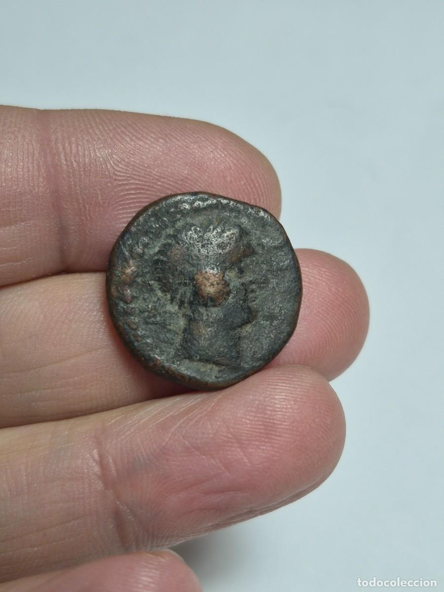 Monedas ib&eacute;ricas: NT/ SEMIS IBERICO DE CASTULO BUEN MODULO 10,1 GRS (A759) - Foto 2