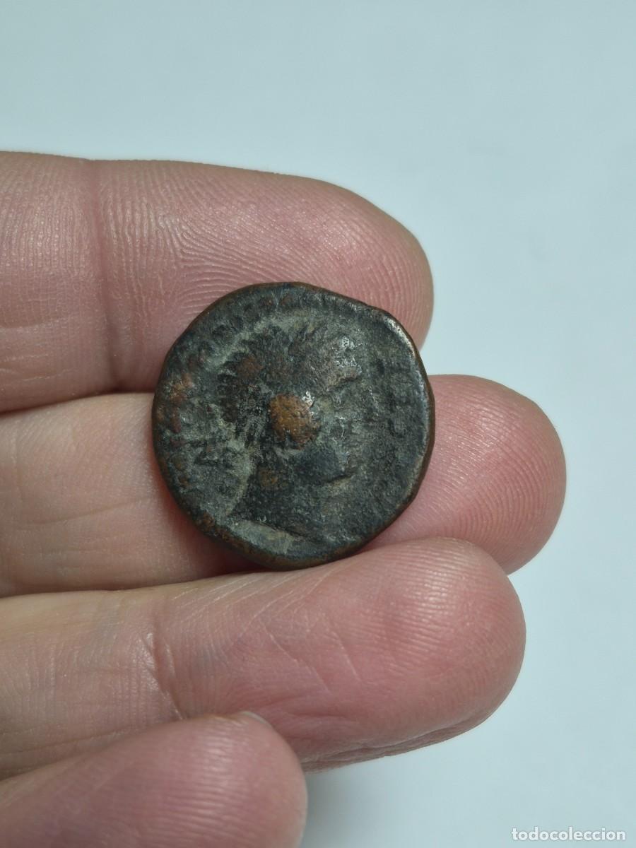 Monedas ib&eacute;ricas: NT/ SEMIS IBERICO DE CASTULO BUEN MODULO 10,1 GRS (A759) - Foto 3