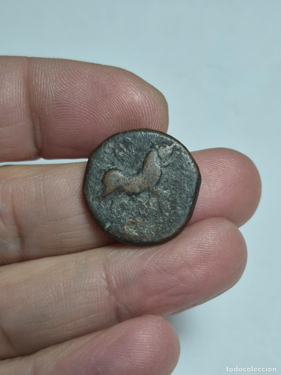 Monedas ib&eacute;ricas: NT/ SEMIS IBERICO DE CASTULO BUEN MODULO 10,1 GRS (A759) - Foto 4
