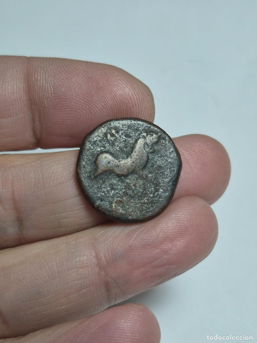 Monedas ib&eacute;ricas: NT/ SEMIS IBERICO DE CASTULO BUEN MODULO 10,1 GRS (A759) - Foto 5