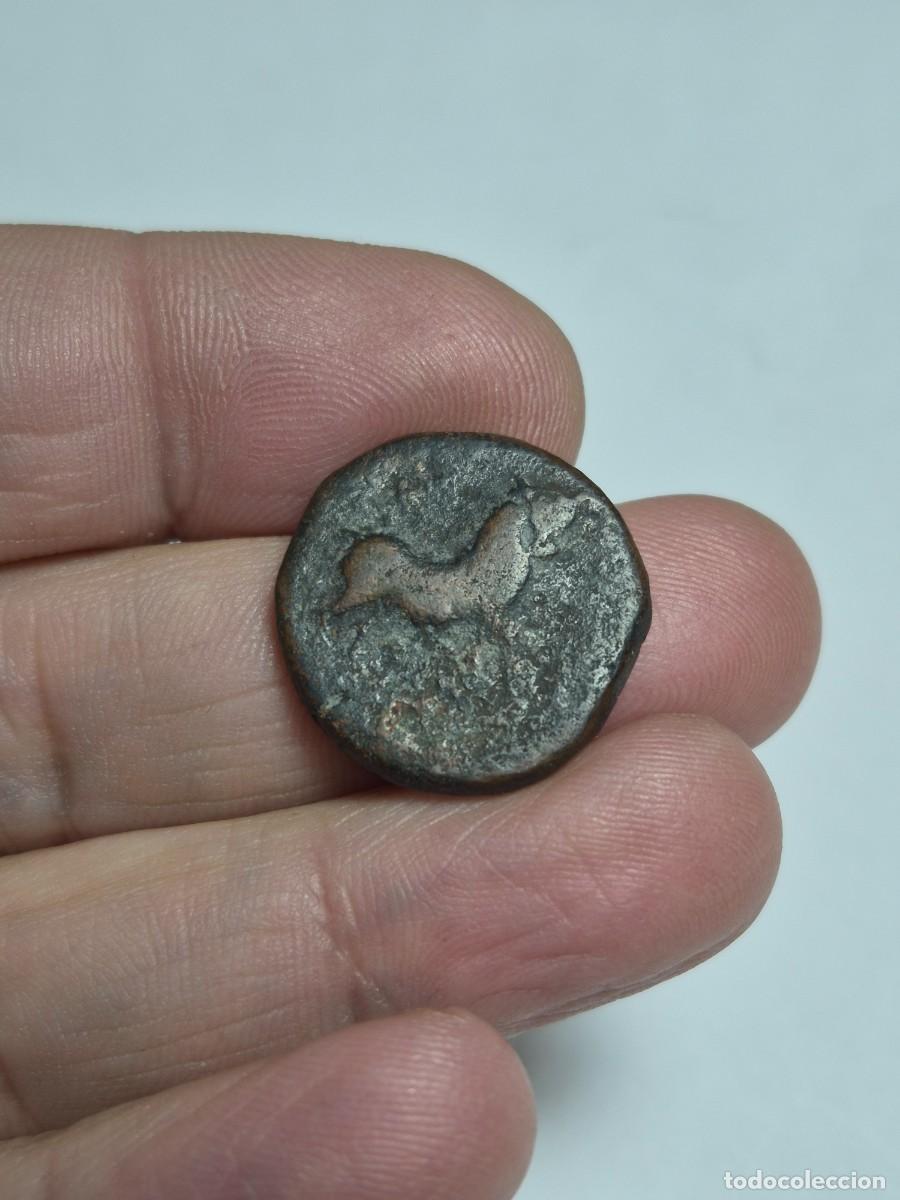 Monedas ib&eacute;ricas: NT/ SEMIS IBERICO DE CASTULO BUEN MODULO 10,1 GRS (A759) - Foto 6