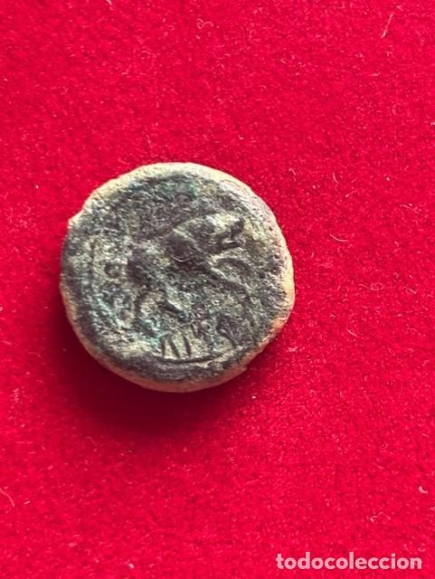 Monedas ib&eacute;ricas: Cuadrante de Castulo FAB 565, 3,67 grs - Foto 2