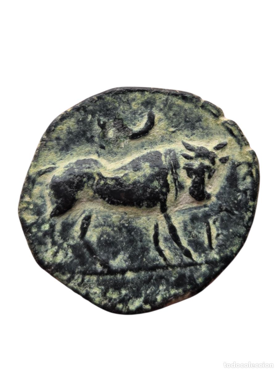 Monedas ib&eacute;ricas: BONITO SEMIS DE CASTULO , BUEN RELIEVE - Foto 3
