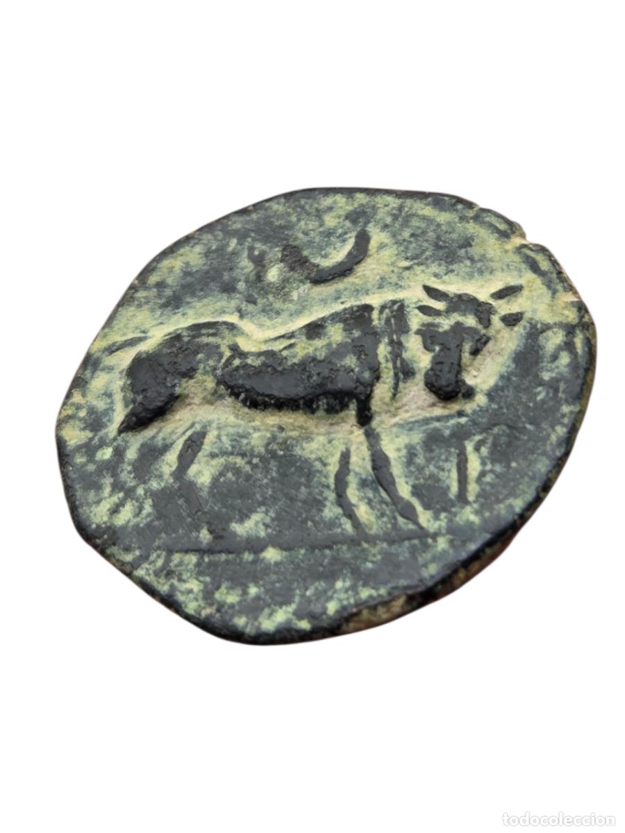 Monedas ib&eacute;ricas: BONITO SEMIS DE CASTULO , BUEN RELIEVE - Foto 4
