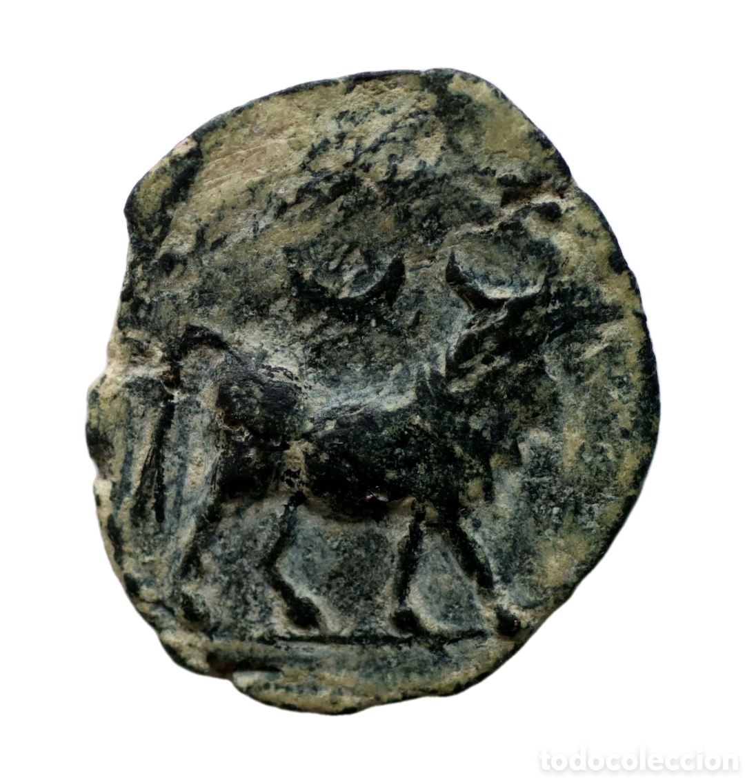 Monedas ib&eacute;ricas: ESCASO SEMIS CASTULO AB-752 - Foto 2
