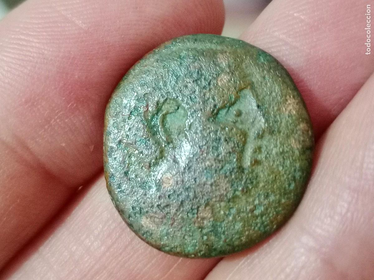 Monedas ib&eacute;ricas: Iltirta, L&eacute;rida. As ib&eacute;rico. Lobo. Nayox